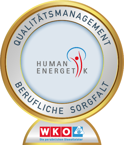 Qualitätsmanagement Humanenergetik Berufliche Sorgfalt WKO